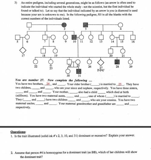 Human Pedigree Worksheet Help me pleaseee i will give extra points