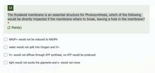 AP BIO:

The thylakoid membrane is an essential structure for Photosynthesis, which of the followi