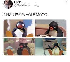 I’m feeling sad, give me pingu images pls