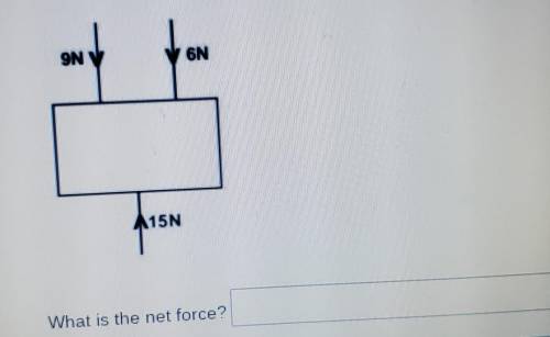 9N 6N 15N What is the net force?​