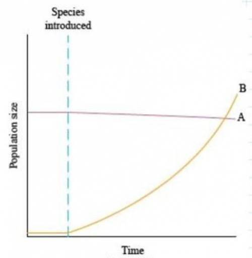 Which ecological relationship is best represented by this graph?

Note: Species A's population sli