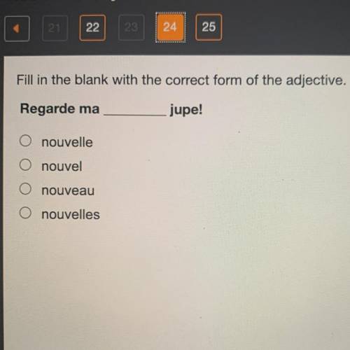 PLEASE HELP! :)

Fill in the blank with the correct form of the adjective.
Regarde ma
jupe!
nouvel