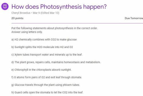 How does Photosynthesis happen?