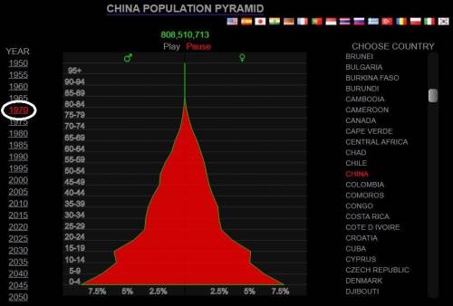 Now take a look at the population pyramid for China. Select the year 1980. Compare this pyramid to