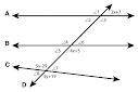 In the following diagram line C intersects line D.

Using complete sentences, classify the relatio