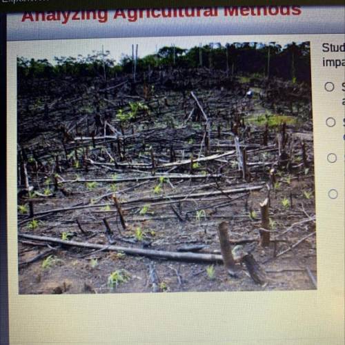 Study the image. Which statement best explains the

impact of slash-and-burn agriculture?
O Slash