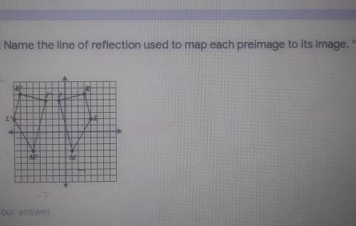 Name the line of reflection used to map each primate to its image​