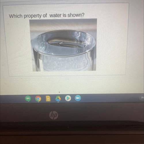 Which property of water is shown?

Answer choices:
- capillary action
-adhesion
-surface tension
-
