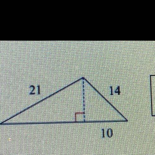 Find the area of the triangle round to the nearest tenth