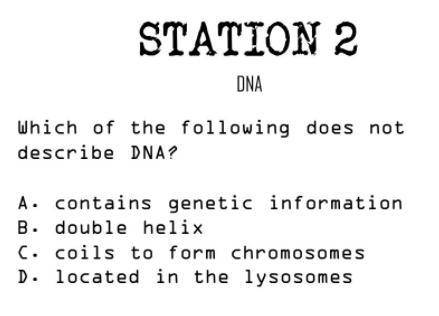 Which of the following does not describe DNA?