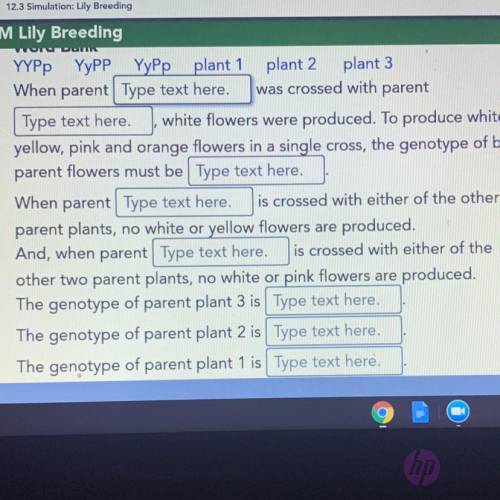 ҮҮРp YyPP

YyPP YyPp plant 1 plant 2 plant 3
When parent Type text here.
was crossed with
parent T