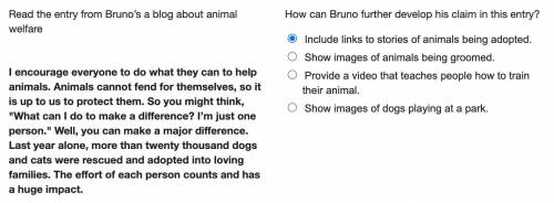 Read the entry from Bruno’s a blog about animal welfare

I encourage everyone to do what they can