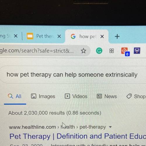 How pet therapy can help someone extrinsically