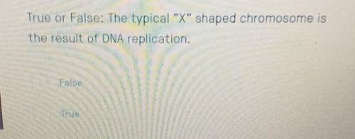 True or false the typical X shaped chromosomes is the result of DNA replication​