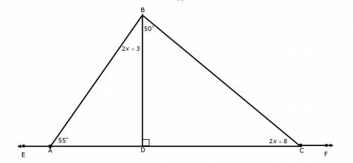 Write an equation that could be used to find the value of x using the interior angles of ∆BDC, then