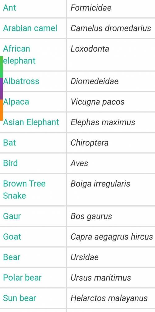 Give the scientifical name to 10 plants and animals