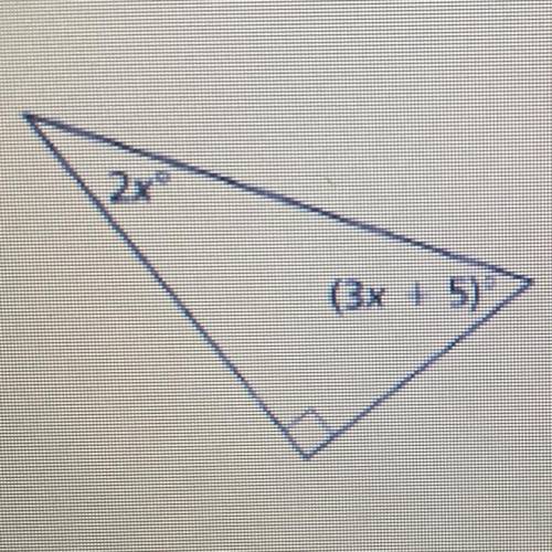 Can you please help me solve for x for this triangle please!!