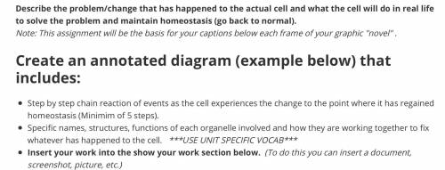 PLEASE HELP BIOLOGY!!(second image is example)