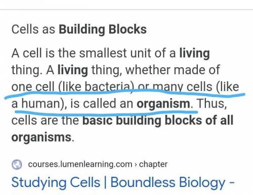 What are the most basic blocks o all organisms​