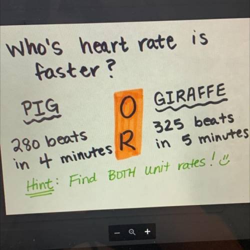 Who’s Heart rate is faster?