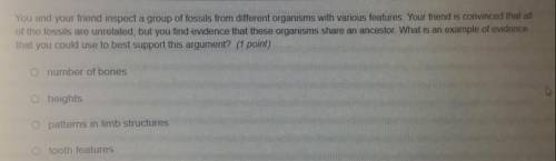 Please answer this question for 10 points