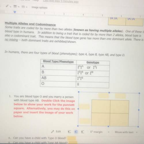 Need help with my assignment