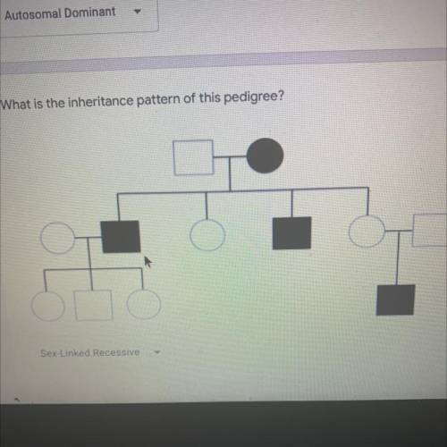 1 point
What is the inheritance pattern of this pedigree?
