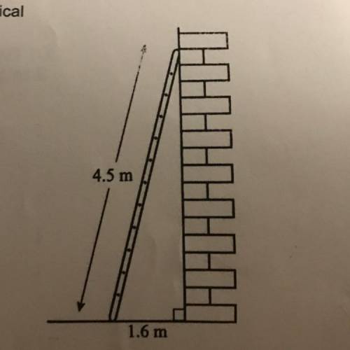 3. A ladder is standing on horizontal ground and rests against a vertical

wall. The ladder is 4.5