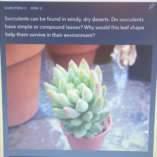 Succulents can be found in windy, dry deserts. Do succulents

have simple or compound leaves? Why