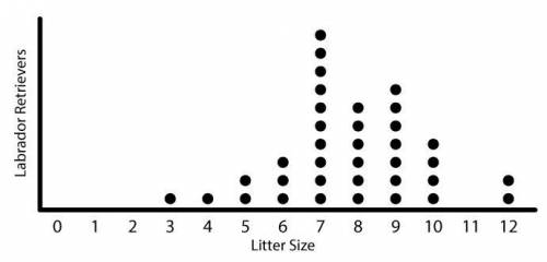 The following dot plot represents the litter size of a random sample of labrador retrievers.

Whic