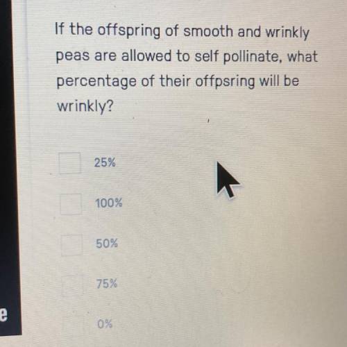 If the offspring of smooth and wrinkly

peas are allowed to self pollinate, what
percentage of the