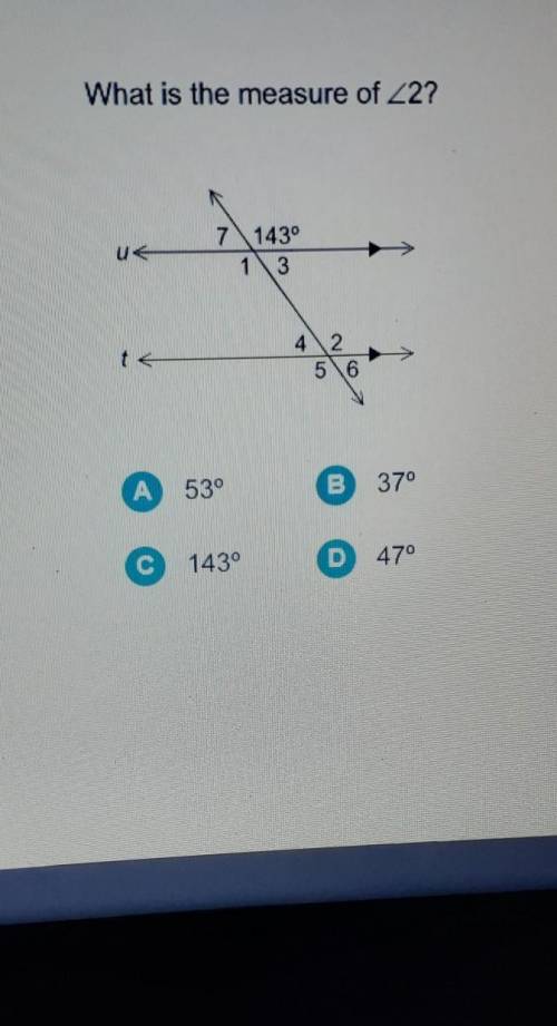 What is the measure of 2?​