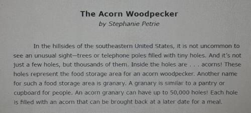 Which point does the author make in The Acorn Woodpecker?

A.granaries are difficult structures t