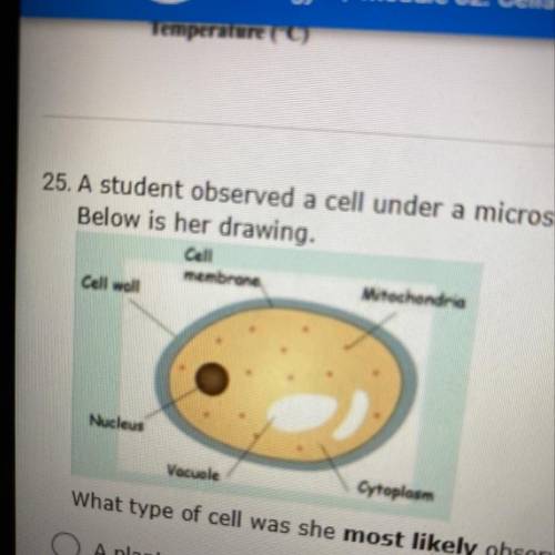 25. A student observed a cell under a microscope. She wanted to determine what type of cell she was