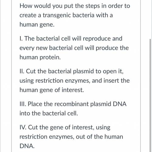 How would you put the steps in order to create a transgenic bacteria with a human gene.
