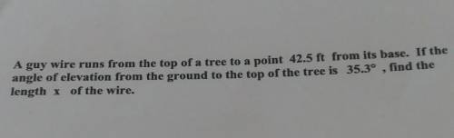 a guy wire runs from the top of a tree Point 42.5 ft from its base if the angle of elevation from t