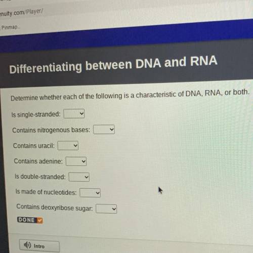 Determine whether each of the following is a characteristic of DNA, RNA or BOTH