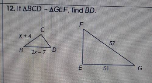 If BCD ~ GEF, find BD​