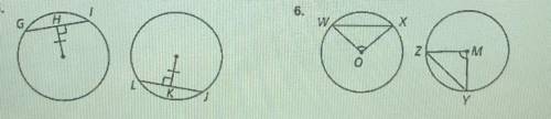 The circles below are congruent. What can you conclude?