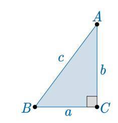 Trig question:

Use the following triangle and trigonometric ratios to help demonstrate the
relati
