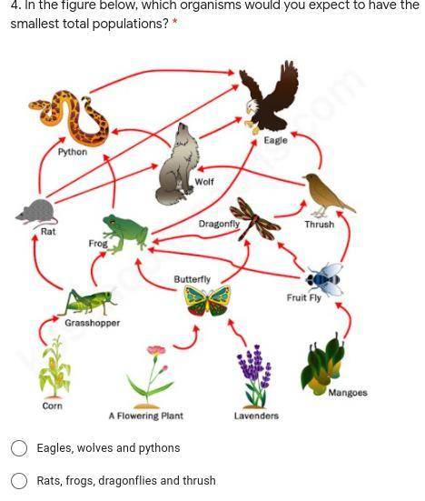 In the figure below, which organisms would you expect to have the smallest total populations?