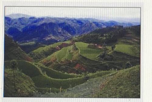 In agriculture, terraces like the ones shown in this photograph are used to grow crops in areas wit