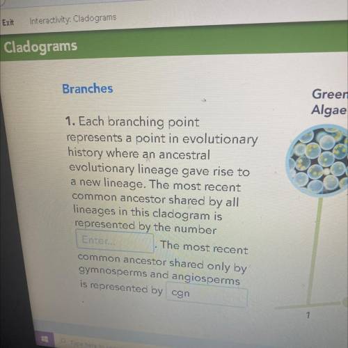 CLADOGRAMS BRANCHES:
PLEASE SELECT THOSE 2