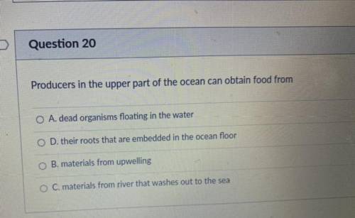 Producers in the upper part of the ocean can obtain food from ?