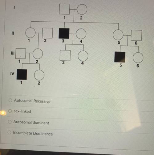 This pedigree is showing a disorder. (Hint: Is it affecting just one sex?)

O Autosomal Recessive