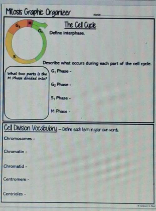 Cell cycle graphic organizer I really need help smart people help​