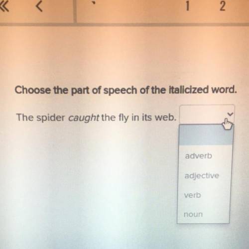Choose the part of speech of the italicized word.

The spider caught the fly in its web.
adverb
ad