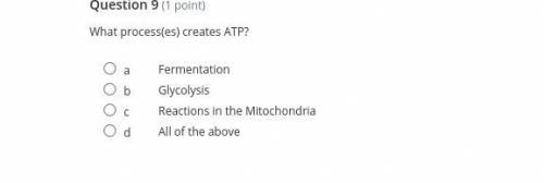 What process(es) creates ATP?