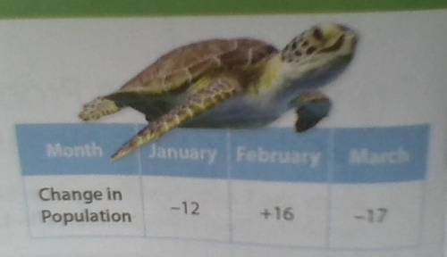 A marine rescue center starts the year with 44 sea turtles. The table shows how sea turtle populati