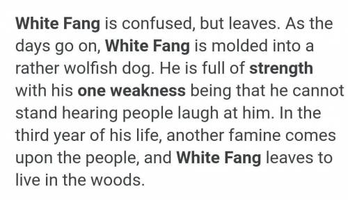 What is White Fang's one weakness?
PLZZ HELP HURRY